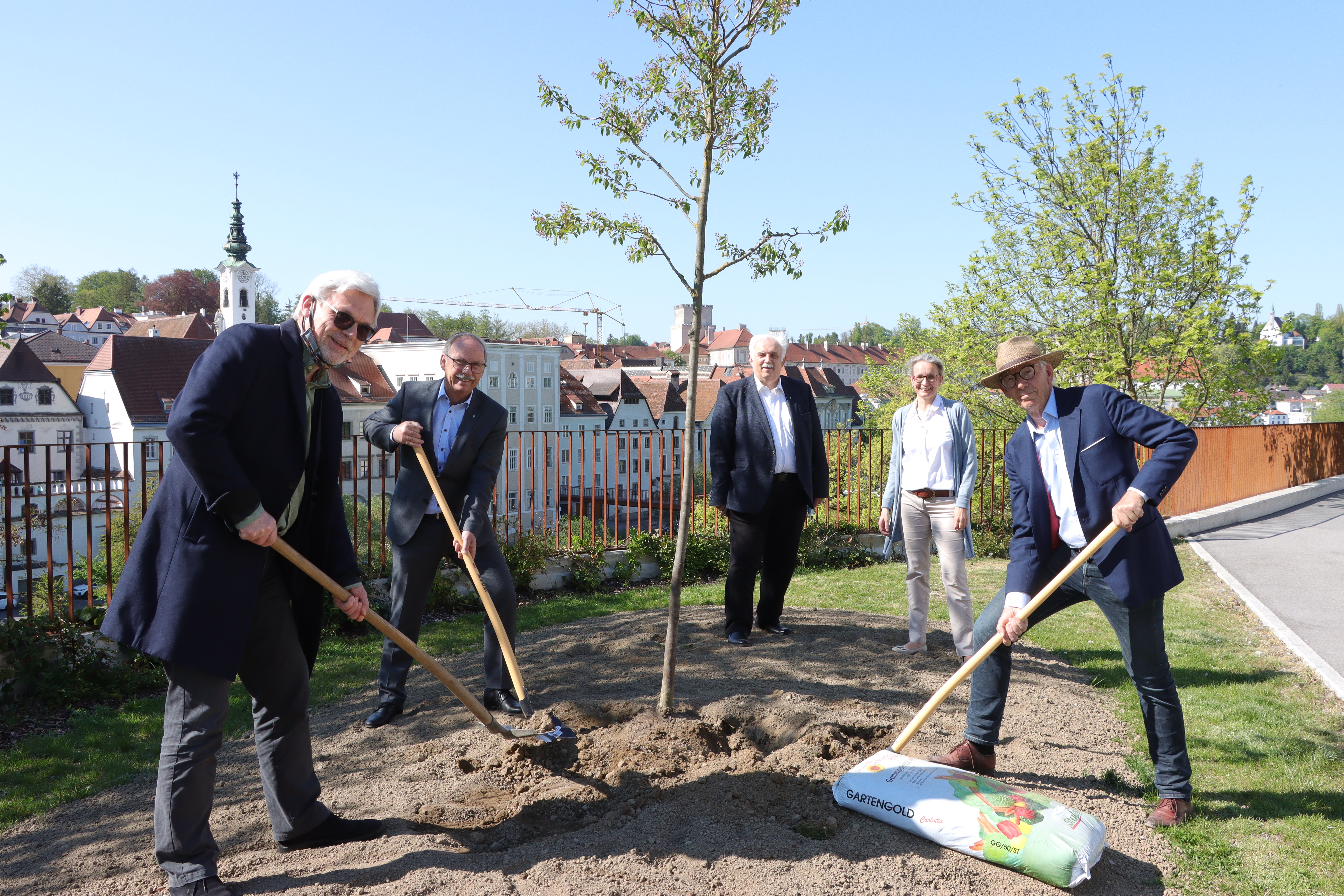 Erster Baum pflanzen Projekt 1000 Bäume für Steyr